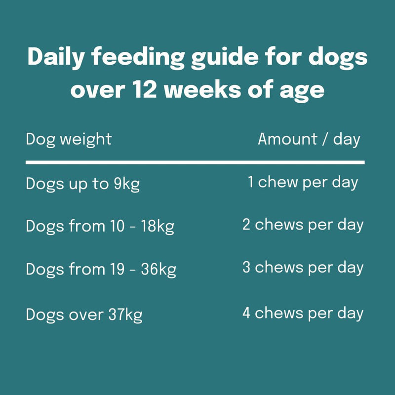Buddy & Lola Probiotics For Dogs - Daily Dog Probiotic Chews For Digestive Health - Beneficial Prebiotics, Probiotics & Fibre For Better Gut, Firm Stools, Less itching - Plant Based Chews For Dogs 120 Soft Chews (1 Tub)