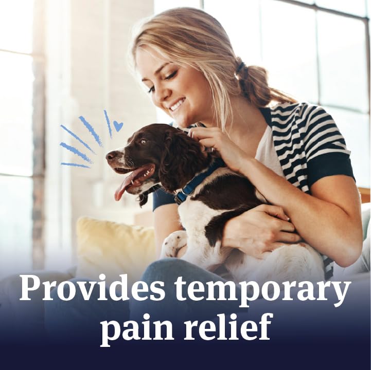 PetArmor Aspirin for Large Dogs, Fast Acting Anti-Inflammatory and Pain Relief For Dogs, Vet-Quality Joint Support and Pain Meds for Dogs, 120 Liver Flavored Tablets Medium-Large Dogs (50+ lbs)