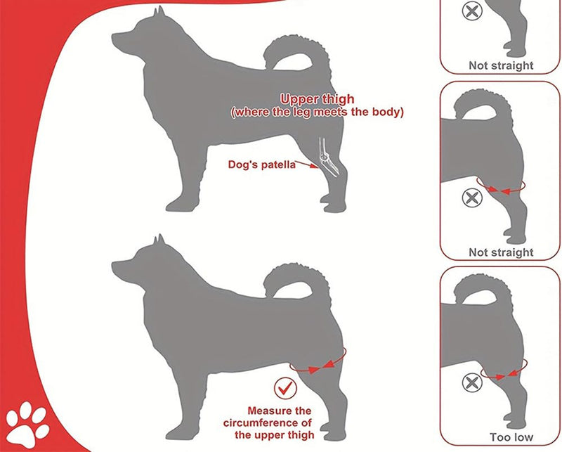 TOEECY Wound protection suits for dogs elbow bandage protector support for cruciate ligament injuries better recovery with dog leg band bandages for front leg hind leg black S - BeesActive Australia