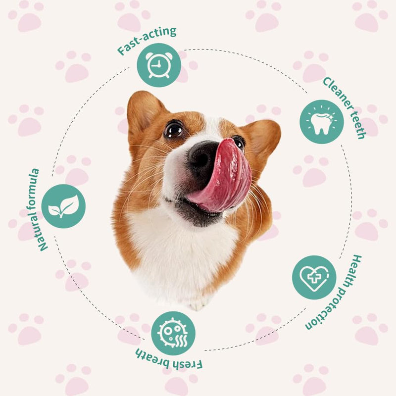 DentaClean Spray for Dogs & Cats, No-Brush Plaque & Tartar Remover, Breath Freshener, Dentaclean for Dogs, Supports Daily Denta Hygiene, Easy Spray Use, 100ml