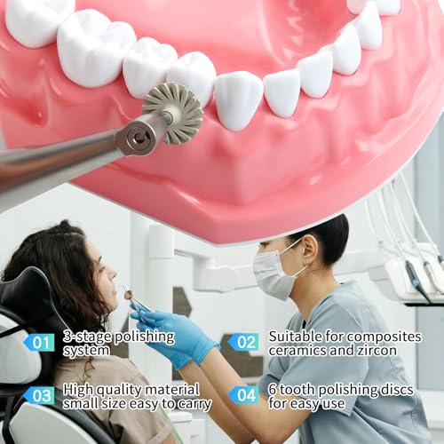 6 Pcs Dental Composite Polishing Wheels Rubber Polisher System P3 1.0