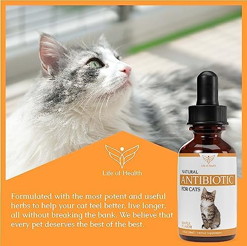 Natural Antibiotics for Cats - Cat Antibiotics - Cat Antibiotic - Pet Antibiotics - Cat Immune Support - Antibiotic for Cats - Cat Multivitamin - Cat UTI Antibiotics - - BeesActive Australia
