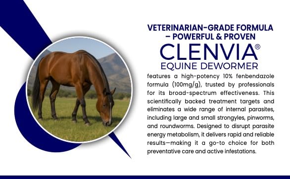 Horse Paste 10% – 4 Pack – 25g Syringes – Oral Deworming Paste for Horses of All Ages – Easy-to-Administer Equine Care PACK OF 4