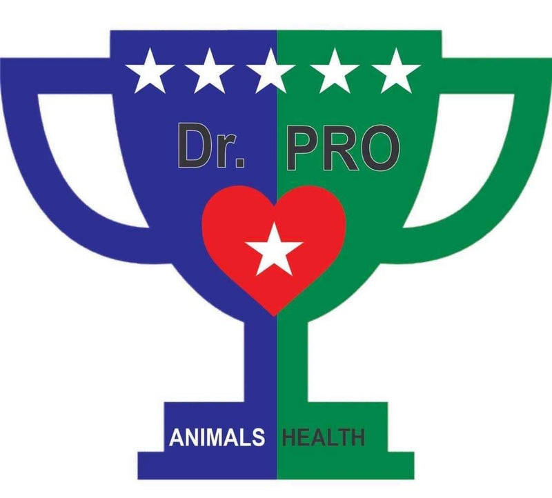 Dr. Pro, Premium Hip & Joint Soft Chews Supplement for Dogs, 120 Chews, Duck Flavor, for All Breeds.