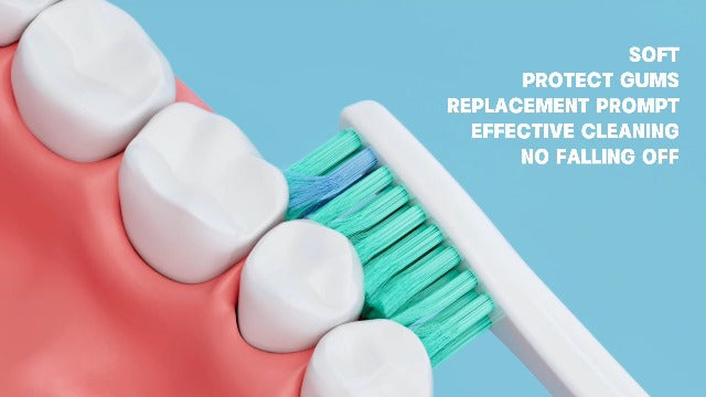Replacment Heads Compatible with Philips Sonicare, for E-Series Essence, for Xtreme, for Elite, for Advance, and for CleanCare Electric Toothbrush, Toothbrush Replacment Heads Refills, 6 Pack 6-pack