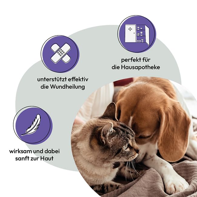 Leucillin 60ml Natural Antiseptic Spray - Antibacterial Antifungal Antiviral for Dogs Cats All Animals Itchy Skin Minor Wound Care and Skin Health | 60ml