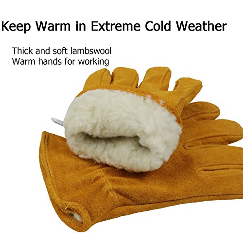 OZERO Winter Work Gloves for Men and Women, Insulated Leather, Gold, Medium Gold (Pack of 1)