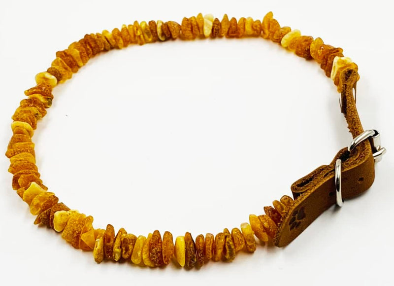 Amber necklace for dogs and cats with leather clasp made of raw Baltic amber / Elegance tick collar / flea collar / amber against ticks / tick and flea protection collar / tick protection dog / vermin collar 30-35 - BeesActive Australia