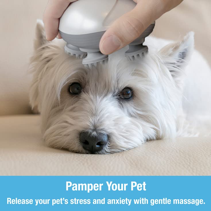Tilcare Handheld Pet Massager for Dogs and Cats Electric Cat and Dog Massage Tool - Head and Back Scratcher for Relieving Tension, Tight Muscles and Stiffness with Four Rotating Massage Heads - BeesActive Australia