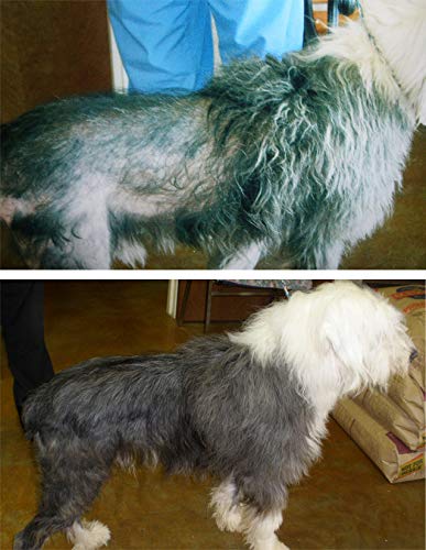 Davis TheraCoat for Pets - PawsPlanet Australia