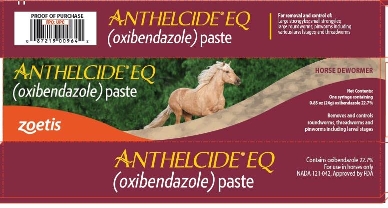 Equine Paste (24 gm) - BeesActive Australia