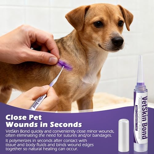 1 Pack 1ml Veterinary Surgical Skin Glue with 10 Applicators 1 1 ml