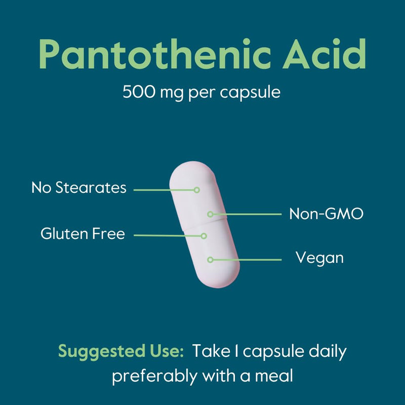 BESTVITE Pantothenic Acid 500mg (Vitamin B5) (240 Veg Caps) - No Stearates | Vegan - Non GMO - Gluten Free - Supports Cellular Energy* 240 Count (Pack of 1)