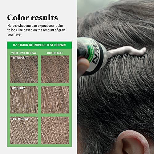 JUST FOR MEN Shampoo-In Color, Hair Color, Dark Blond H-15 (3 Pack) 1 Count (Pack of 3) Dark Blond/Lightest Brown H-15