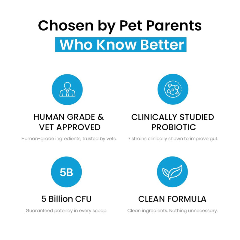 Human Grade Daily Probiotic for Dogs – Vet Approved with 7 Clinically Proven Strains + Prebiotics, Gut & Immune Support with Pumpkin & Carrot – 60 Servings – 5 Billion CFU per Scoop