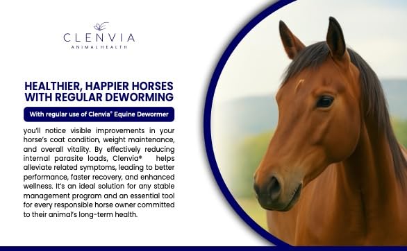 Horse Paste 10% – 4 Pack – 25g Syringes – Oral Deworming Paste for Horses of All Ages – Easy-to-Administer Equine Care PACK OF 4