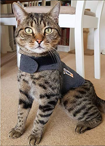 Thundershirt Classic Cat Anxiety Jacket, Heather Gray, Medium (9 to 13 lbs), THU-009 Medium (9 to 13 lbs) - BeesActive Australia