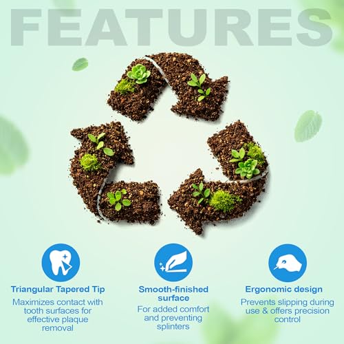 The Natural Dentist Stim-U-Dent Plaque Removers, Thin, Mint Flavor -160 ct. (Pack of 6) 160 Count (Pack of 6)