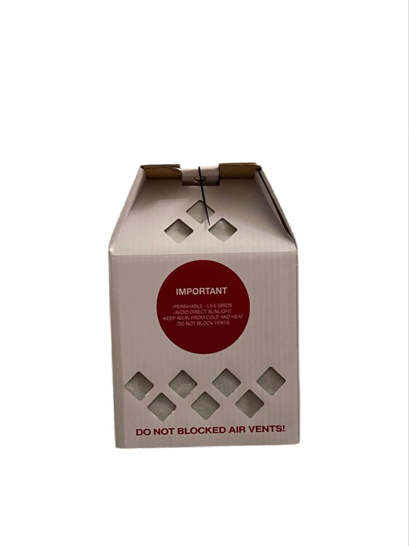 Shipping Box for Live Birds Economy Size 18" x 8" x 12" Tall with Handle - for Poultry, Pigeons, & Canaries -1 Box 1 ct - PawsPlanet Australia