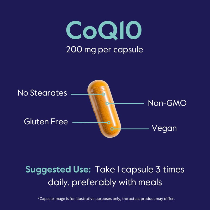 BESTVITE CoQ10 200mg (120 Vegetarian Capsules) Naturally Fermented - No Stearates - Vegan - Gluten Free - Non GMO 1 Count (Pack of 120)