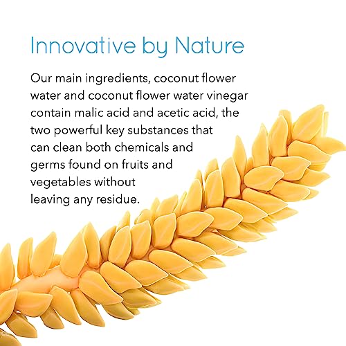 Rain Natural Fluoride Free Baby Toothpaste + Organic Fruit & Vegetable Wash Concentrate