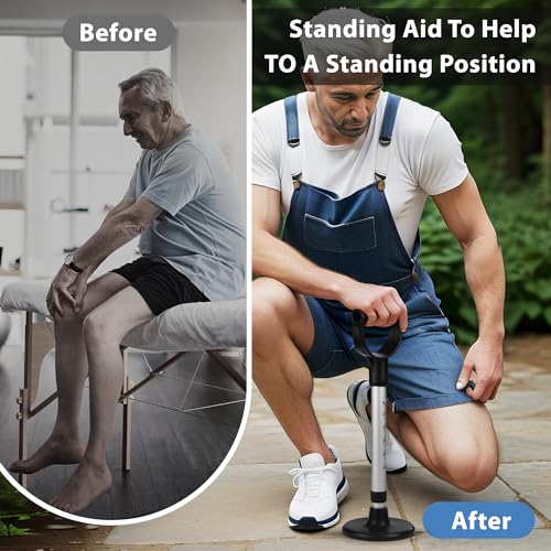 Standing Assist Device, Mobility Aid for Getting Up from Floor