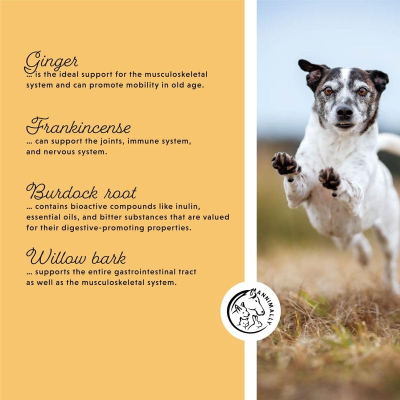 Annimally Senior Vital Tablets for Dogs 120 pcs. - Daily Supplements for Senior Animals with Spirulina, Rosehip & Ginger, Made in Germany