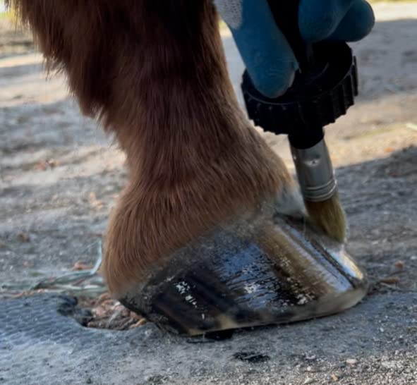 Hoof Oil - All Natural Hoof Conditioner for Horses with Hoof Oil Brush Applicator - Strengthens, Moisturizes and Treats Hoof Problems - 16 fl oz. - BeesActive Australia