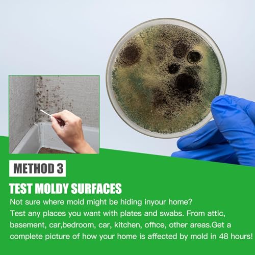 Mold Test Kit for Home Within 12 Individual Tests,DIY Detector at Home, Surface Mold,HVAC,Indoor Air Quality Testing Kits,Black Mold Testing,Includes Detailed Mold Identification Guide and Free Lab Mold Test-12