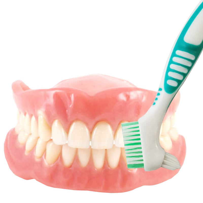 4PCS Denture Brush Toothbrush Denture Toothbrush Brush Cleaning Brush for False Teeth Cleaning - BeesActive Australia