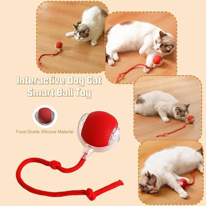 Interactive Cat Toys Rolling Ball, Chewie Viral Rolling Ball, Electric Dog Ball Toy, 360° Smart Automatic Cat Ball Toys for Bored Indoor Cats, Suitable for Large and Small Dogs and Cats - BeesActive Australia