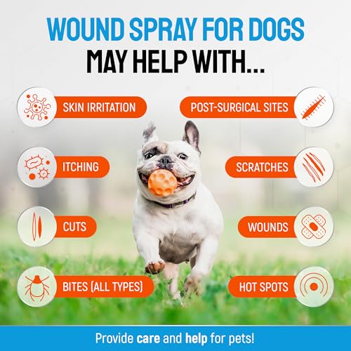SILVER GRADE Dog Wound Spray Helps with Hot Spots, Irritations, Bites, Burns, Rashes, Itch, Scratching – Better Use with a Dog Cone to Stop Licking – Safe for Large and Small Breeds – 4 oz Wound spray - 4 Fl Oz