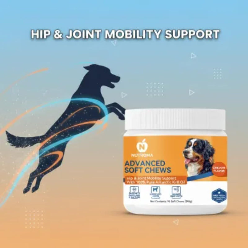 Advanced Soft Chews for Dogs – Hip & Joint Mobility Support with Antarctic Krill Oil, Eggshell Membrane & Hyaluronic Acid – 96 Chews (Chicken) Chicken