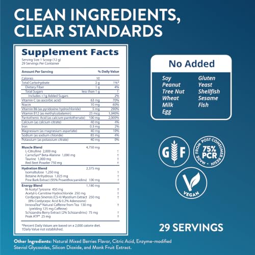 MRM Nutrition Driven Pre Workout Powder - Mixed Berry Flavor - 29 Servings Mixed Berries