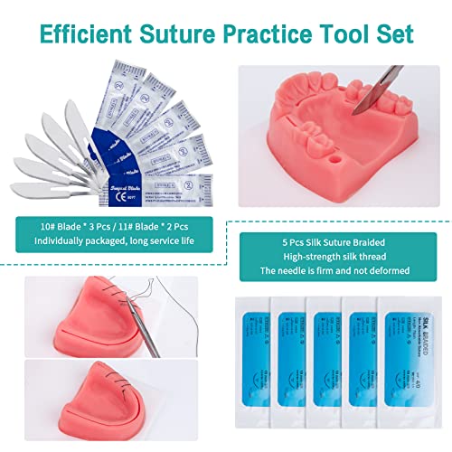 Dental Oral Practice Kit - Dental Training Kit with 4 Soft Silicone Oral Pad - 25 Pcs Set Practice Kit for Dentist Practice & Assistant Student Training