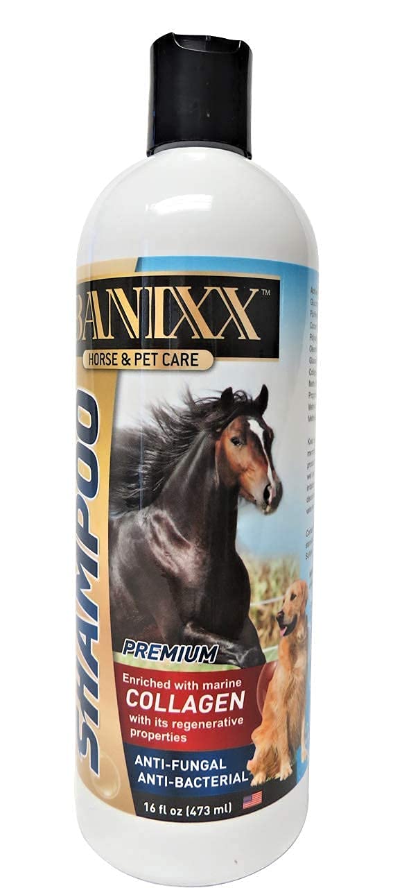 BANIXX Essential First-Aid Solution - BeesActive Australia
