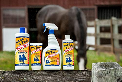 Mane 'n Tail Pro-Tect VETERINARY STRENGTH MEDICATED Skin and Wound Treatment 32 Ounce Spray - BeesActive Australia