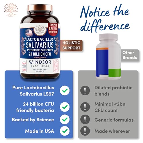 WINDSOR BOTANICALS Lactobacillus Salivarius Probiotic Capsules - L Salivarius Probiotic Oral Dental Probiotics for Bad Breath, Teeth and Gums Health and Immune Support - 24bn CFU, 2-Pack 120 Caps 60 Count (Pack of 2)