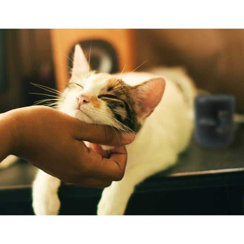iCalmPet | Through a Cat's Ear: Cat Calming | MicroSD Card | 3-hrs | Specialized Music to Soothe Feline Stress - PawsPlanet Australia