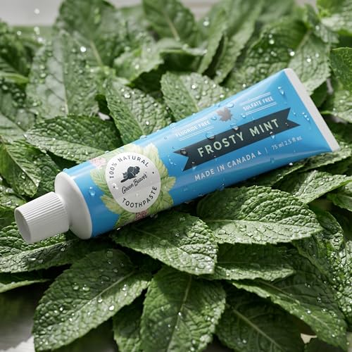 Green Beaver All Natural Organic Toothpaste, Vegan, Fluoride Free & Gluten Free Toothpaste, Frosty Mint Flavor, 75ml, 3 Pack