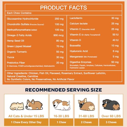 Glucosamine and Probiotics for Dogs