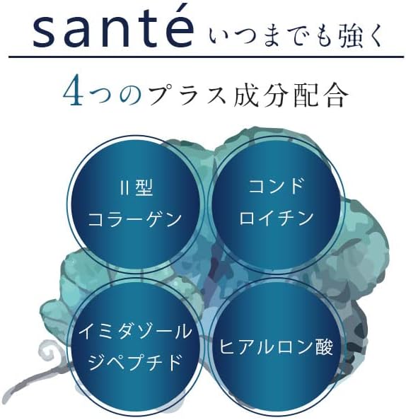 Ogaland Proteoglycan Sante Sante (90 tablets / approximately 3 months' supply) Contains 3 beauty ingredients (proteoglycan / type II collagen) Health support supplement - BeesActive Australia