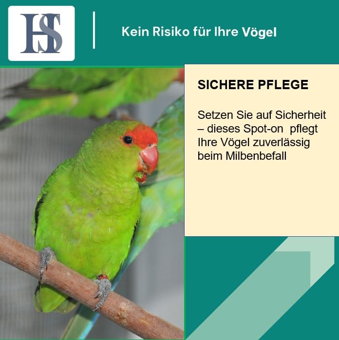 HS Spot on Bird Light – care product for small birds – 50 ml - BeesActive Australia