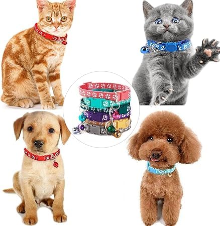 Cat Collar with Bell 2-Pack. Also use as Dog Collars for Small Dogs. Best Used as a Small Dog Collar. Color (Purple) Purple - BeesActive Australia
