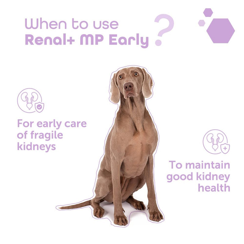 Renal+ MP Early for Dogs & Cats - Daily Kidney Support with B-Vitamins, Potassium & Omega-3 – Helps Maintain Renal Function & Vitality – Sprinkle Capsules