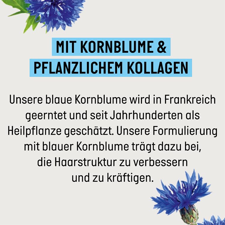 Guhl Föhn-Active Styling Spray - Contents: 150 ml - From the long-term volume series - Hair type: fine, weak or flat - Dermatologically confirmed (pack of 2) Jasmin 150 ml (pack of 2) - BeesActive Australia