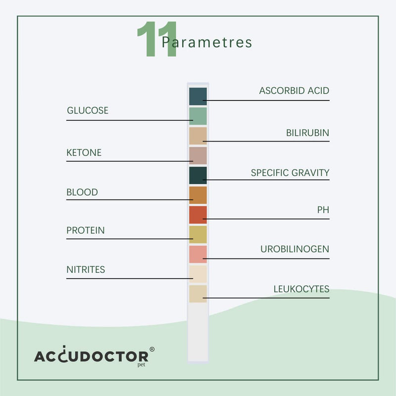 100 Accudoctor Urine test Strips for Dogs Cats 11 parameters Ketones Glucose pH sample canine urinalysis Urine Health step analyzer veterinary health urinary analysis renal one strip treatment uti pet