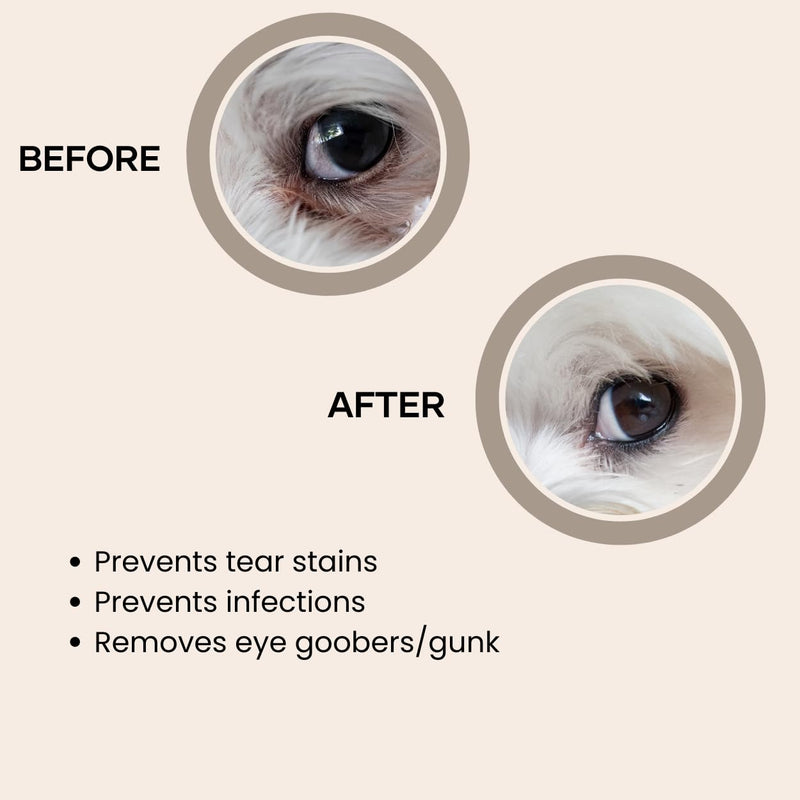 Detailer Comb for Removing Tear Stains, Crust, and Eye Mucus and Small Tangles - BeesActive Australia