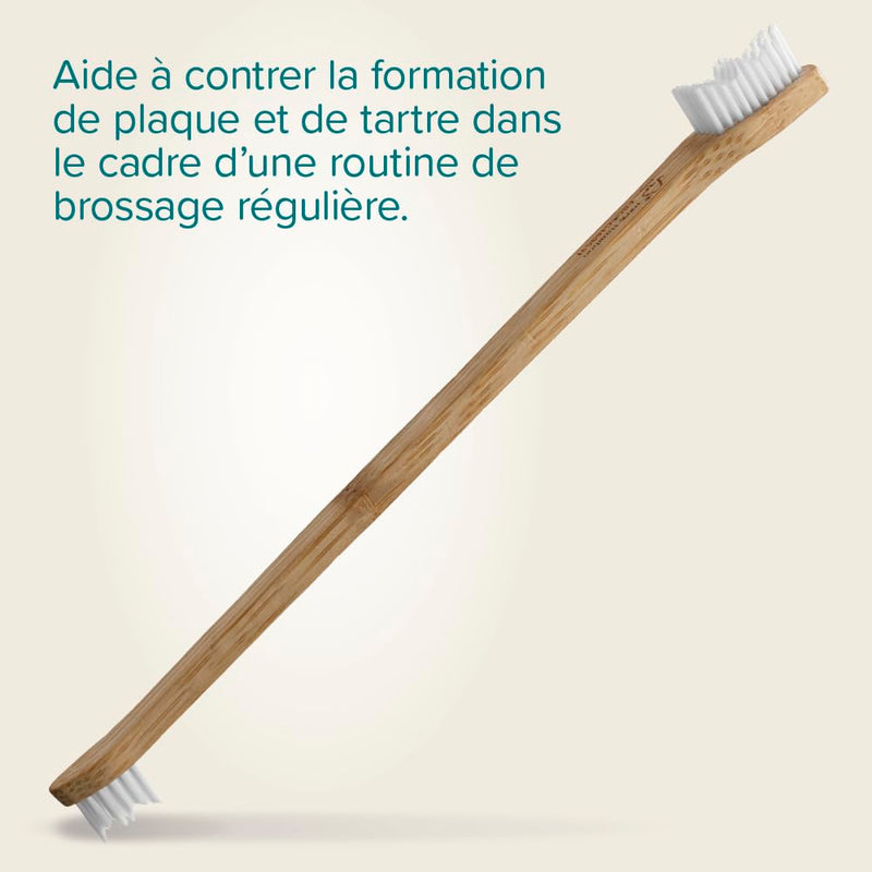 Beaphar Toothbrush Bamboo 1 piece - Double sided brush for dogs and cats