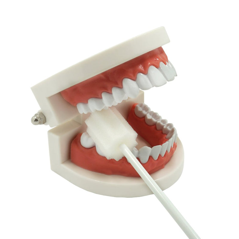 Oral Mouth Swabs Sponge- Untreated and Unflavored for Baby & Elderly Oral Cleaning White 150 Counts